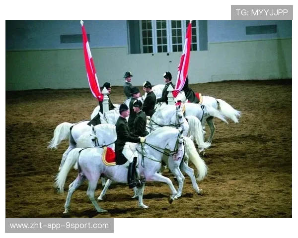 马术国家队在跨区训练中保持良好节奏